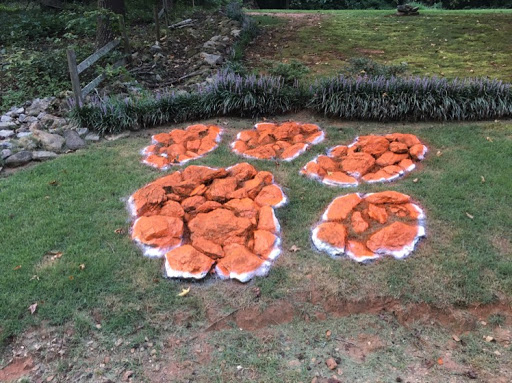 Mark Medlin Photo 35