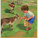James Mcmullan Photo 11