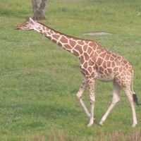 Stephanie Skinner Photo 46 Stephanie Skinner Photo 46