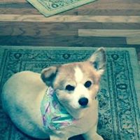 Candace Murray Photo 35