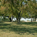 Scott Burnett Photo 22