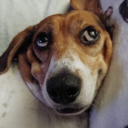 Heidi O'Brien Photo 16