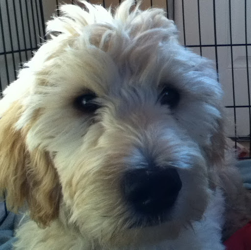 Tara Fitzpatrick Photo 16