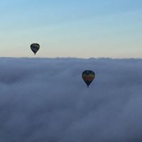 Vicki Chapman Photo 28 Vicki Chapman Photo 28