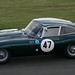 Robin Floyd Photo 42
