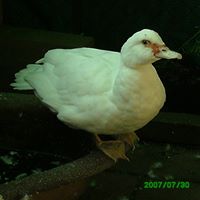 Judith Parish Photo 3