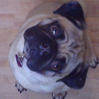 Bonnie Stafford Photo 16