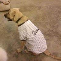 Nikki Richards Photo 40