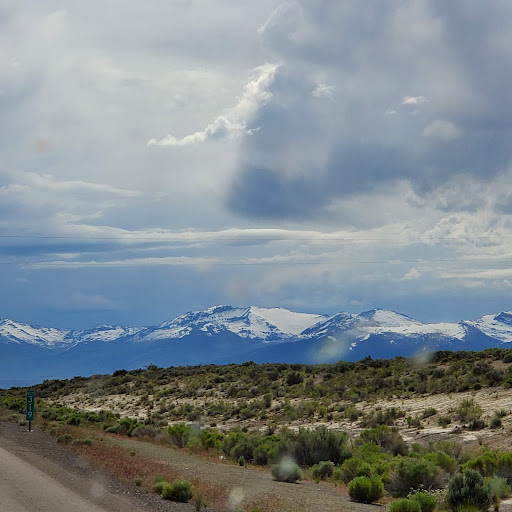 Raymond Gary Photo 31 Raymond Gary Photo 31