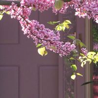 Annette Lemay Photo 2