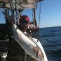 David Laird Photo 9