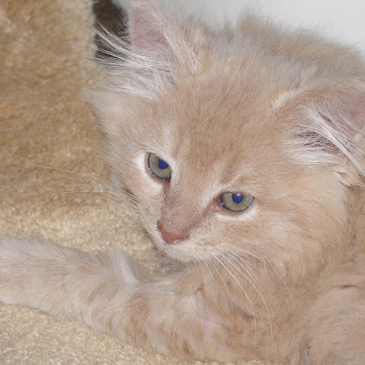 Nancy Sumner Photo 15