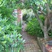 John Simonton Photo 11