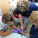 Cindy Straub Photo 26