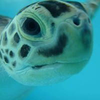 Marcia Winter Photo 6