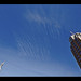 Patrick Powers Photo 39