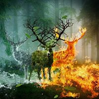 Alan Rutledge Photo 21