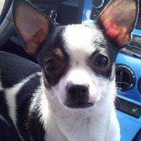 Linda Weatherford Photo 6