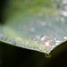 Dawn Dickinson Photo 33