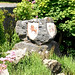 Tom Mccool Photo 20