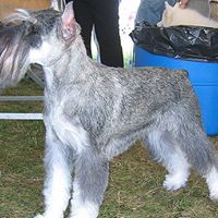 Patricia Hand Photo 9