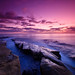 Gail Edwards Photo 19