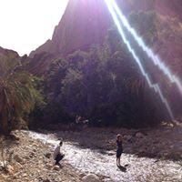 David Lucchesi Photo 19