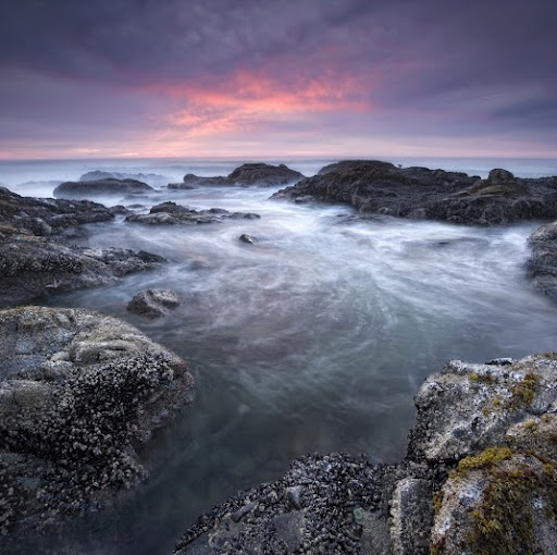 Ann Freeman Photo 18