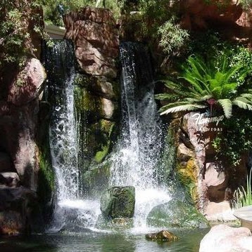 Sarah Carpenter Photo 40