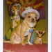 Bill Brewer Photo 9