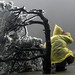 Qiang Chen Photo 16