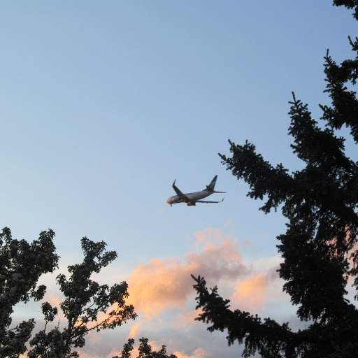 Marie Rogers Photo 36