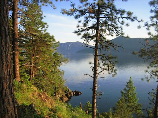 Sandra Dawson Photo 35 Sandra Dawson Photo 35