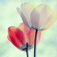 Flor Silva Photo 9