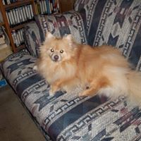 Doris Huffman Photo 22