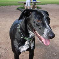 Andrew Ritchie Photo 44