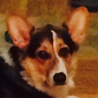 Nathaniel Watson Photo 29