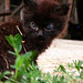 Martha Curtis Photo 8