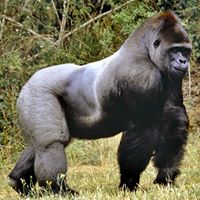 Keith Shepherd Photo 36