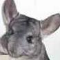 Mary Mccready Photo 24