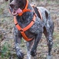 Tobias Clark Photo 10