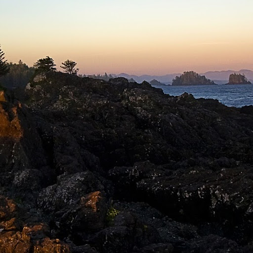 Betty Watson Photo 28