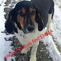 Katrina Cartwright Photo 12