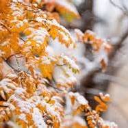 Crystal Schaefer Photo 13