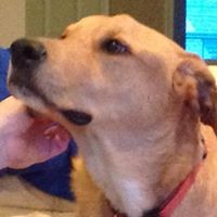 Janet Middleton Photo 35