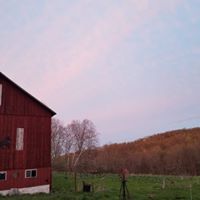 Brad Yoder Photo 5