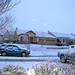 Debbie Snow Photo 31
