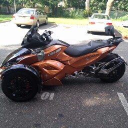 Lydia Morales Photo 27