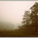 Misty Sharp Photo 23