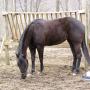 Lisa Quast Photo 3